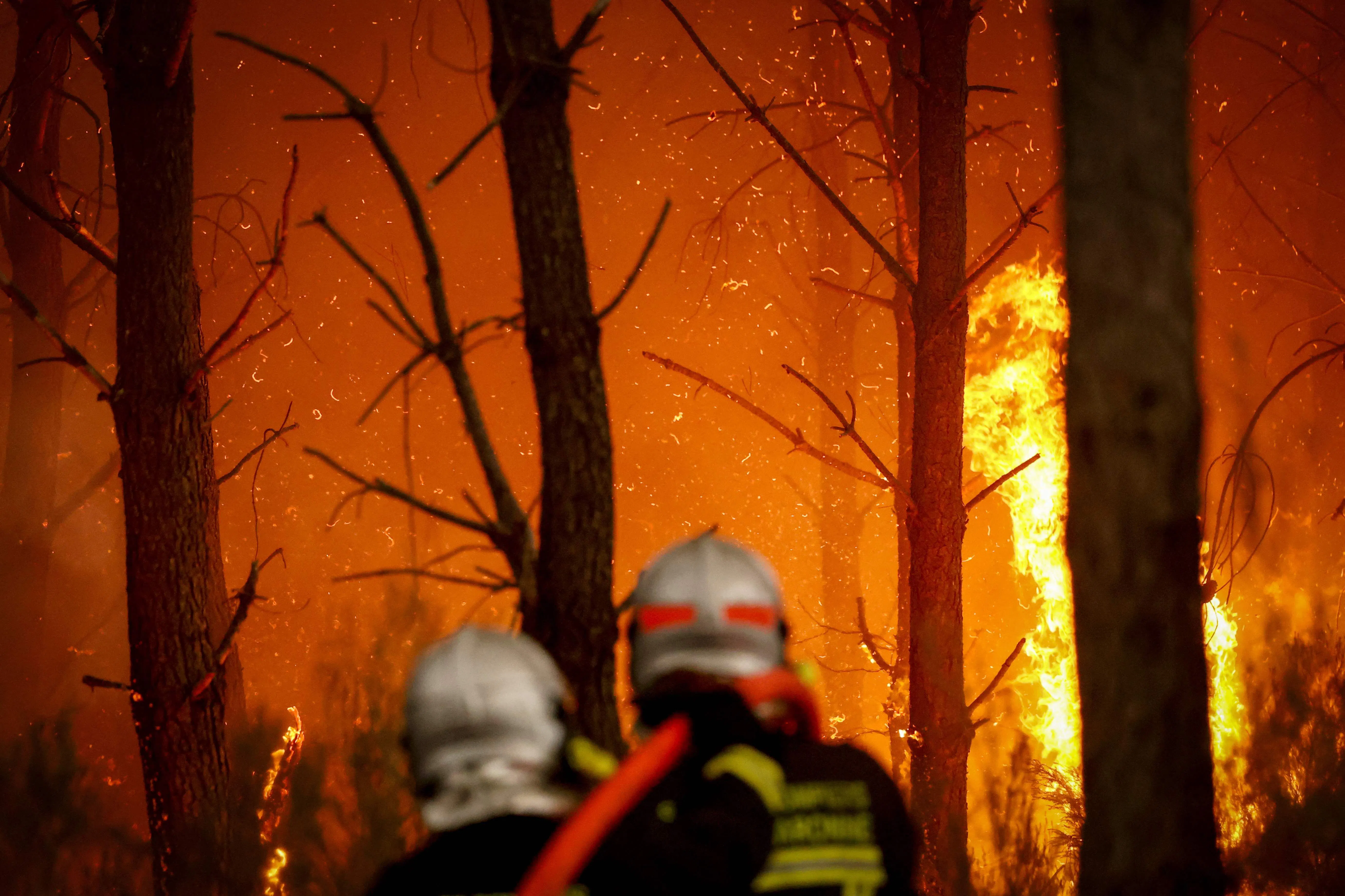 Ranska oli jo saanut metsäpalot kuriin, sitten tuli ilmastonmuutos. Suomessa metsien tehokäyttö hillitsee paloja.